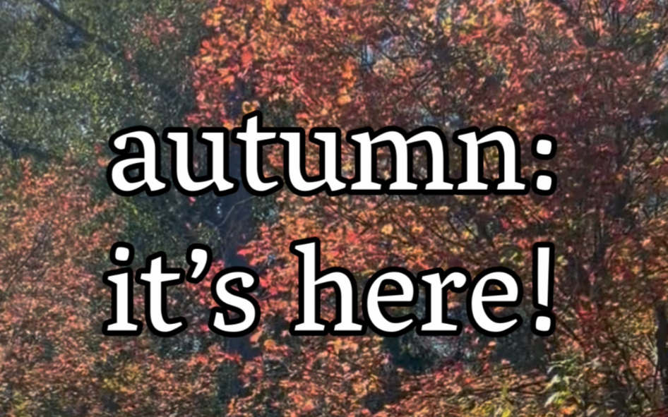 Autumn leaves with the words “autumn: it’s here!”