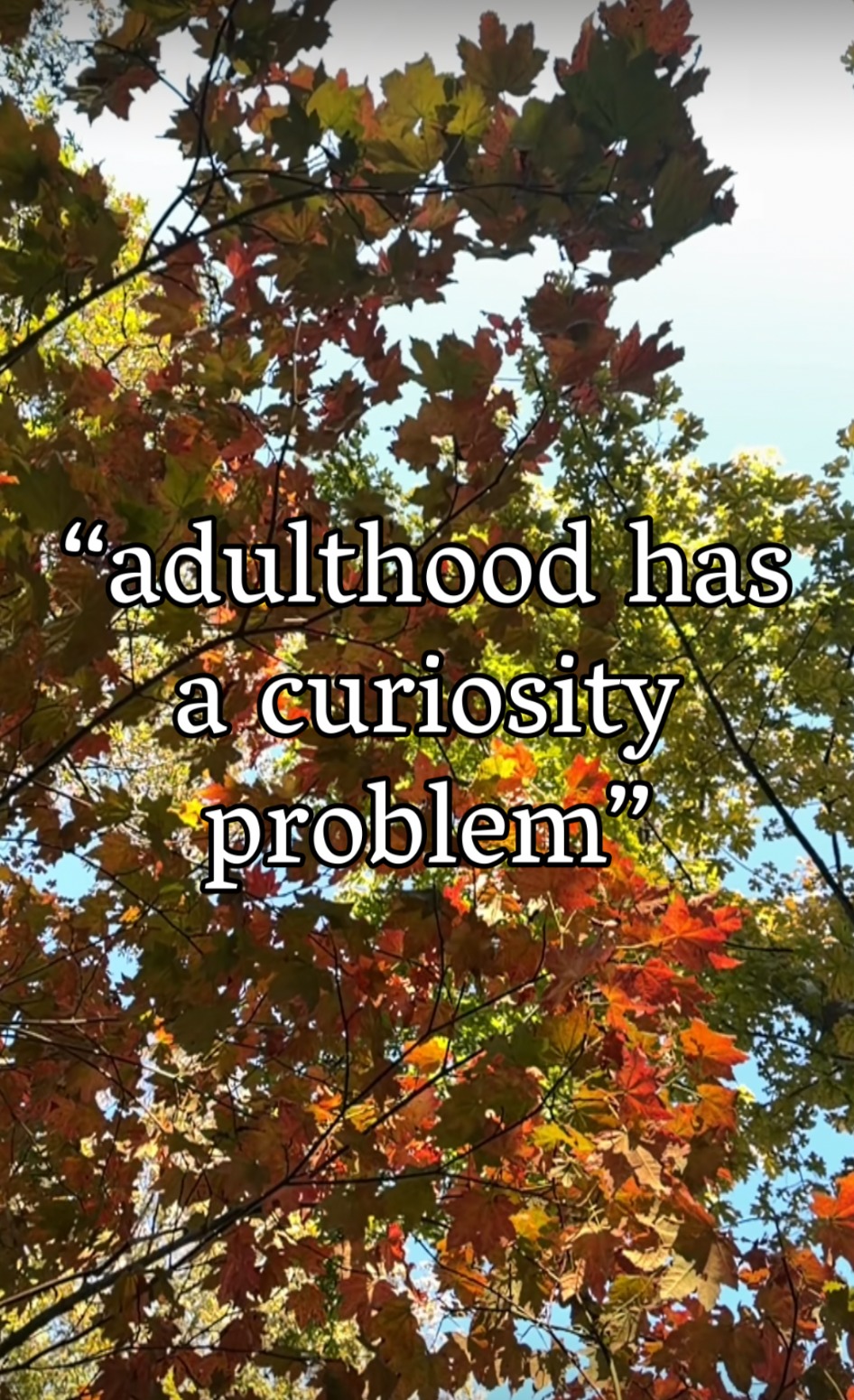 Autumn leaves and sky with the words “adulthood has a curiosity problem”